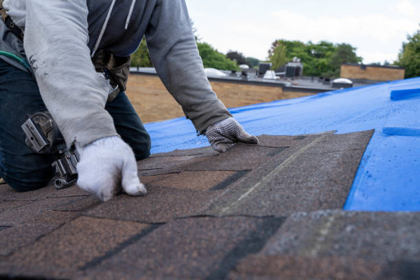 Best Metal Roofing Contractor  in Crooks, SD