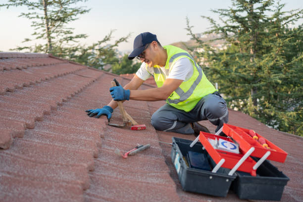 Best Roof Inspection Near Me  in Crooks, SD