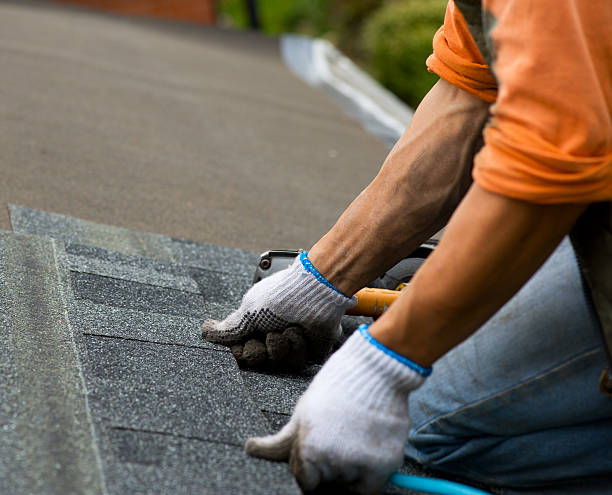 Best Sealant for Roof  in Crooks, SD